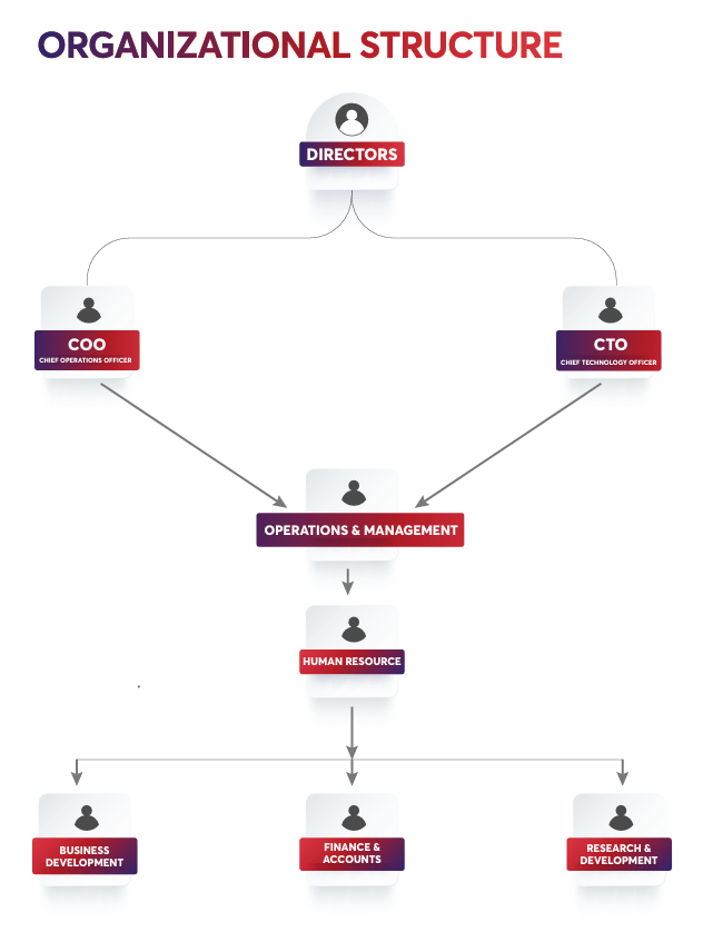 Organization Flow Chart