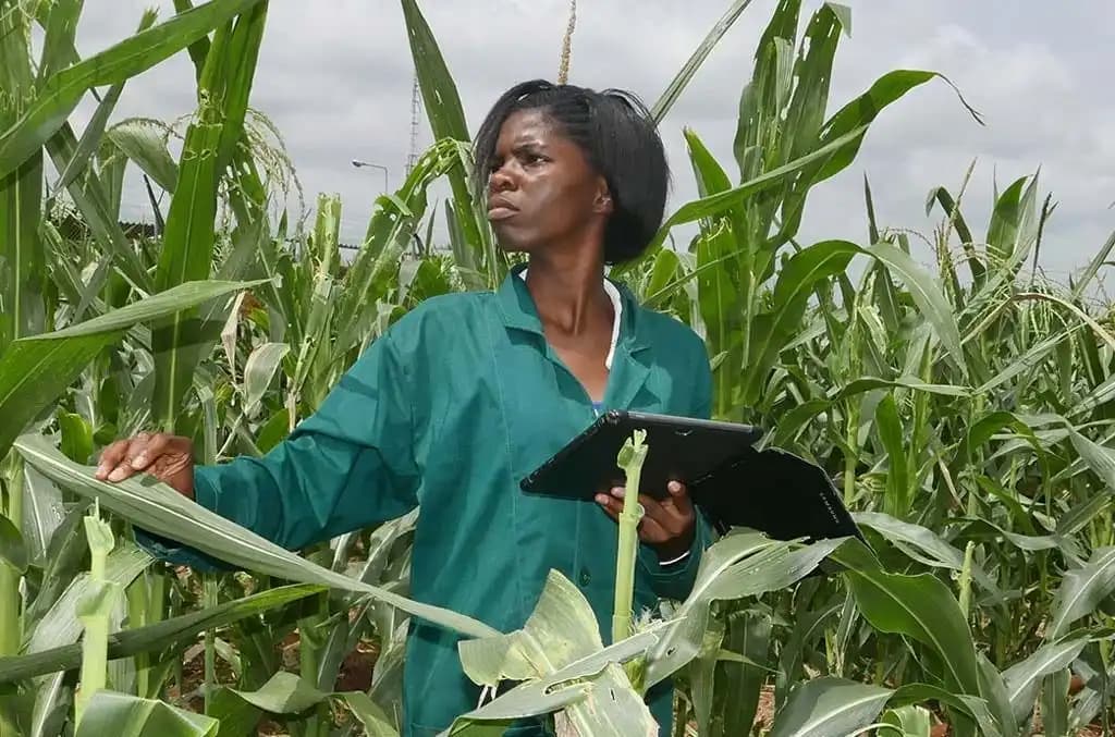 starlink agriculture case study